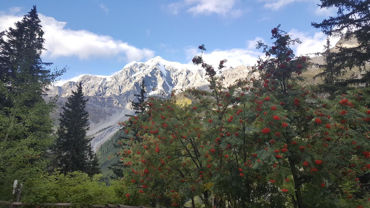 Gasthof Waldruhe Solda Εξωτερικό φωτογραφία
